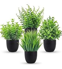 Der Rose 3 Pack Mini Potted Fake Plants Artificial Plastic Eucalyptus Plants Topiaries for Home O... | Amazon (US)