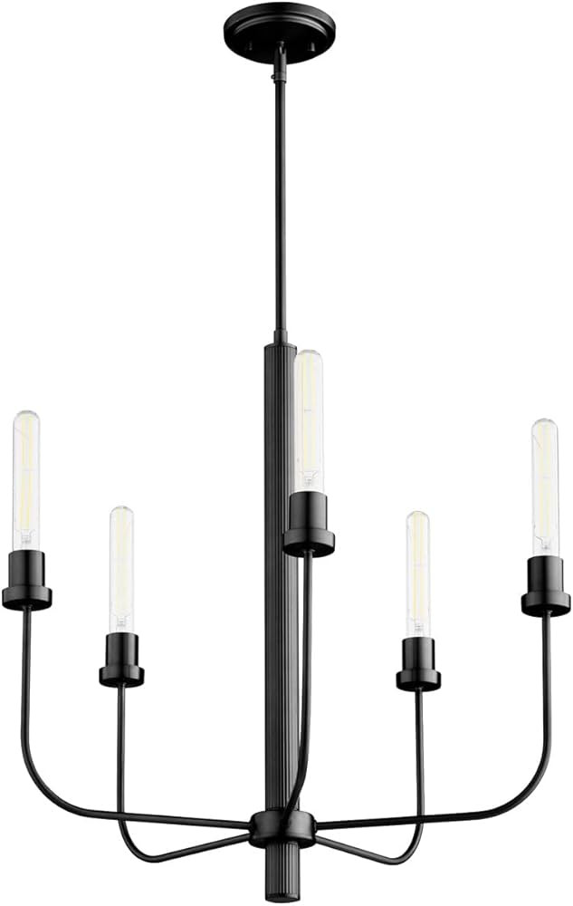 Quorum Lighting 612-5-59 Sheridan - 5 Light Chandelier In Soft Contemporary Style-25 Inches Tall ... | Amazon (US)