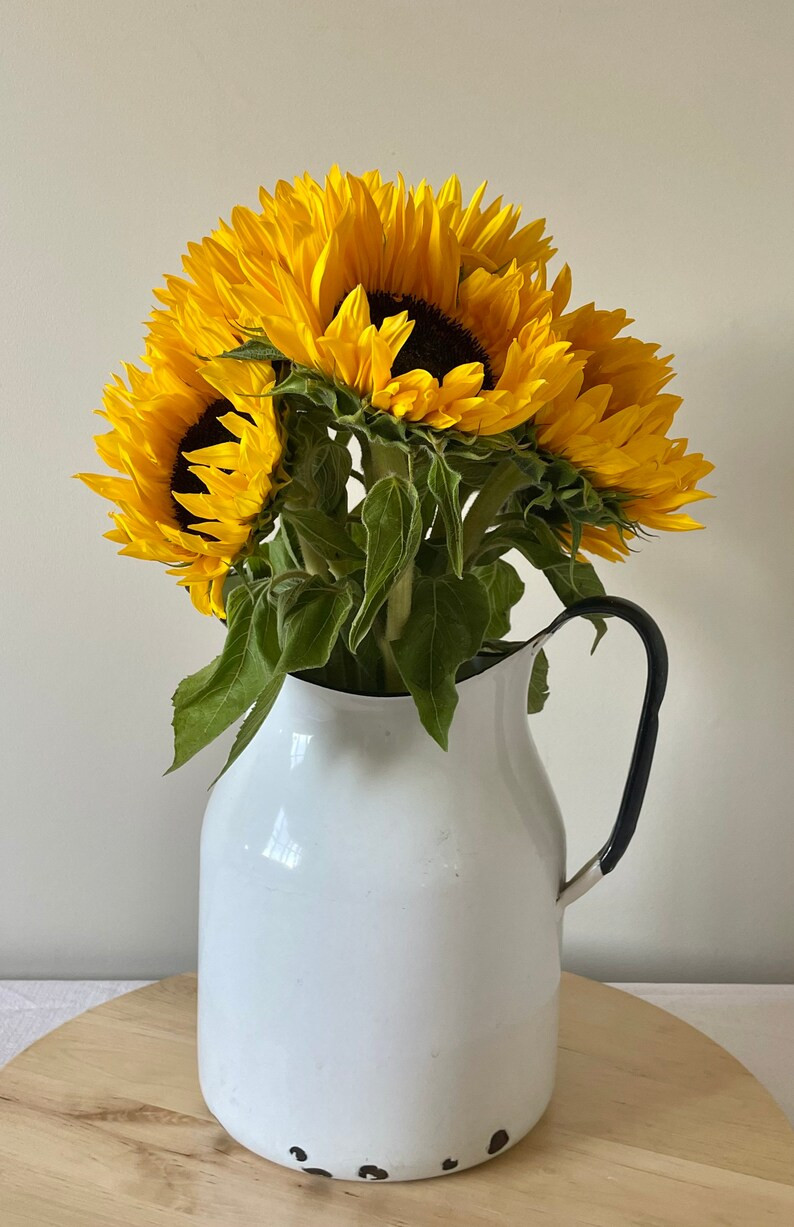 White Enamel Water Pitcher, Vintage Farmhouse Decor | Etsy (CAD)