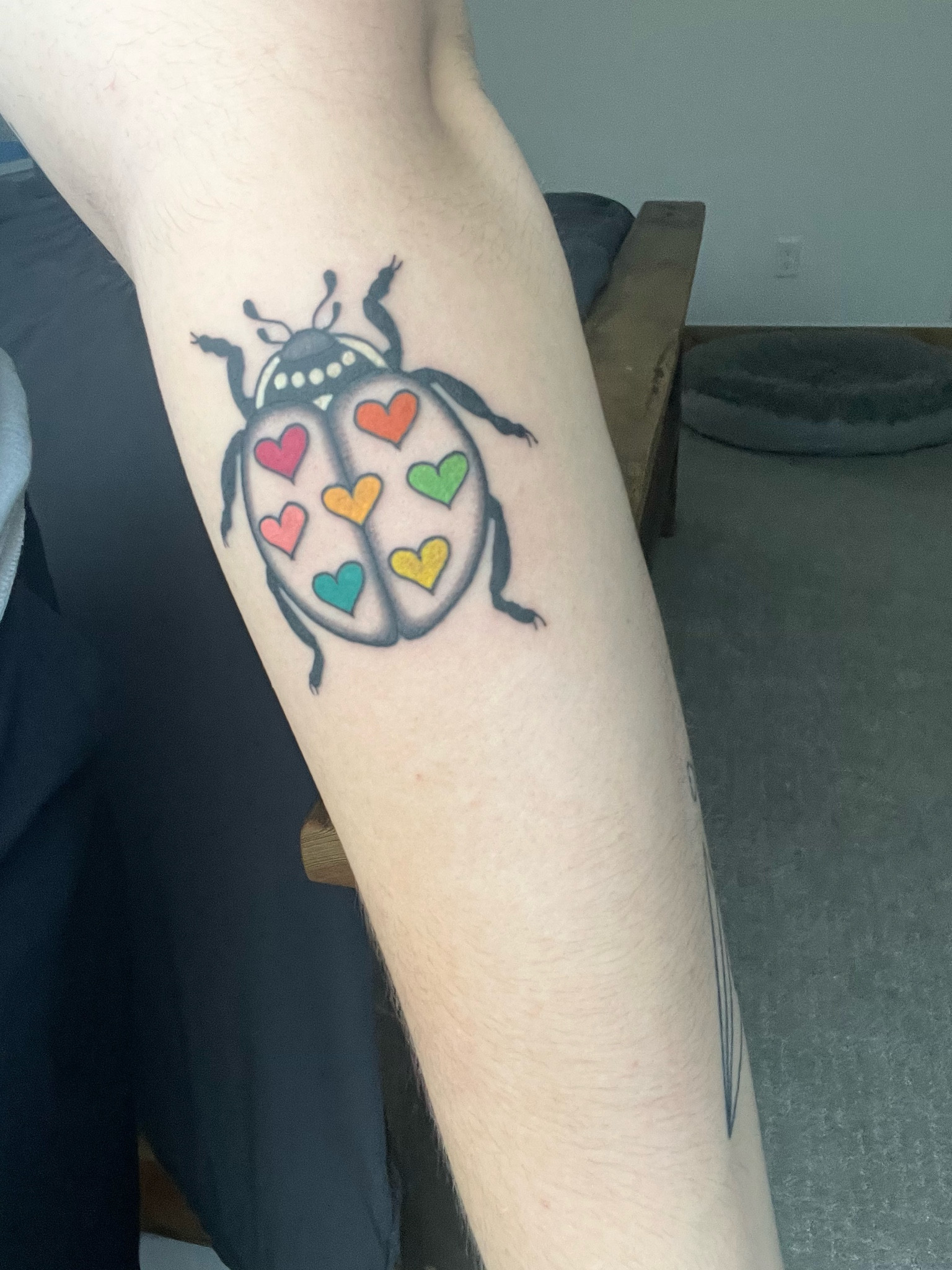 Tattoo after care products! 

#LTKhome #LTKfit #LTKunder100