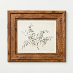 8"x9" Sketched Branches Wall Art Framed - Hearth & Hand™ with Magnolia | Target