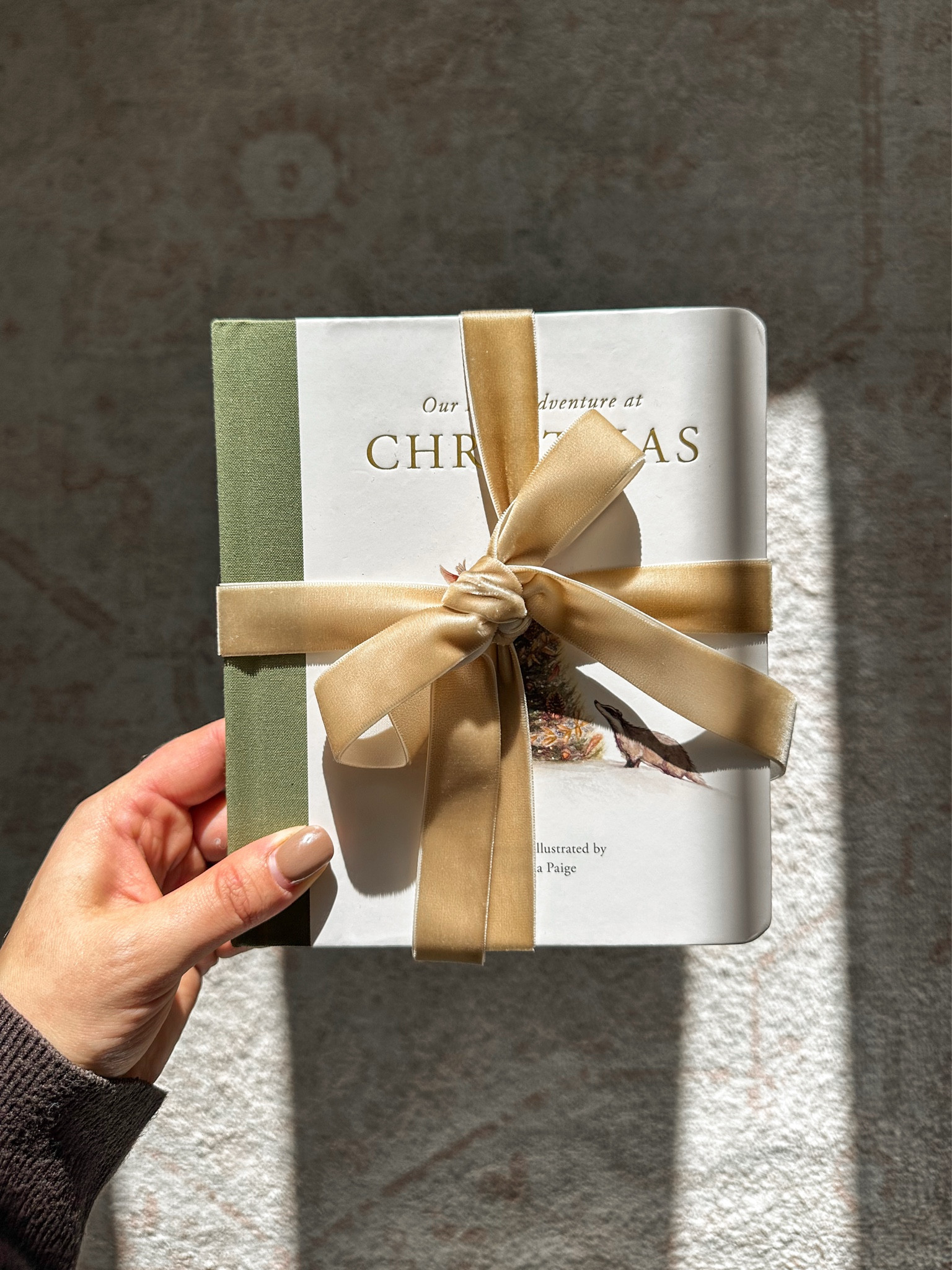 The sweetest little Christmas book! 🎄✨

#LTKKids #LTKGiftGuide #LTKHoliday