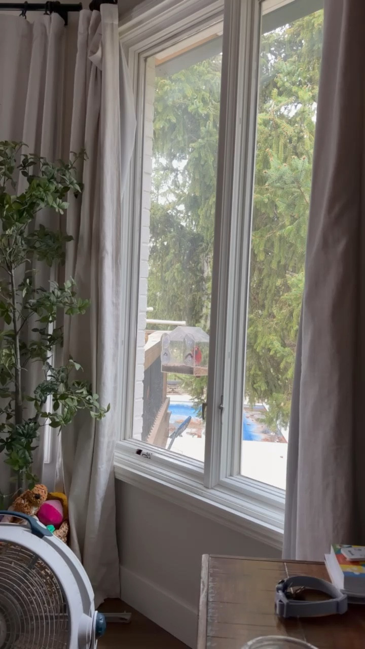 Amazon bird feeder 🐦‍⬛

#LTKdayinmylife #LTKSeasonal #LTKHome