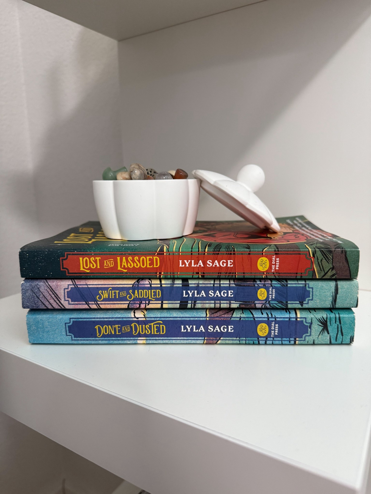 Blue Rebel Ranch series by Lyla Sage 
Lost and Lassoed 
Swift and saddled 
 Done and dusted

#LTKSummerEdit #LTKFindsUnder100 #LTKFindsUnder50