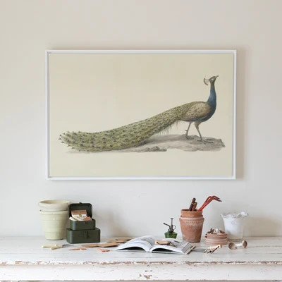 Vintage Mr Peacock Canvas Wall Art . Rectangle | Lindsay Letters, LLC