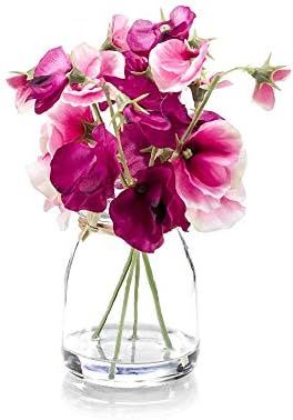 FloristryWarehouse Artificial Silk Sweet Pea Bunch in Glass Jar 6 Inches Mauve | Amazon (US)