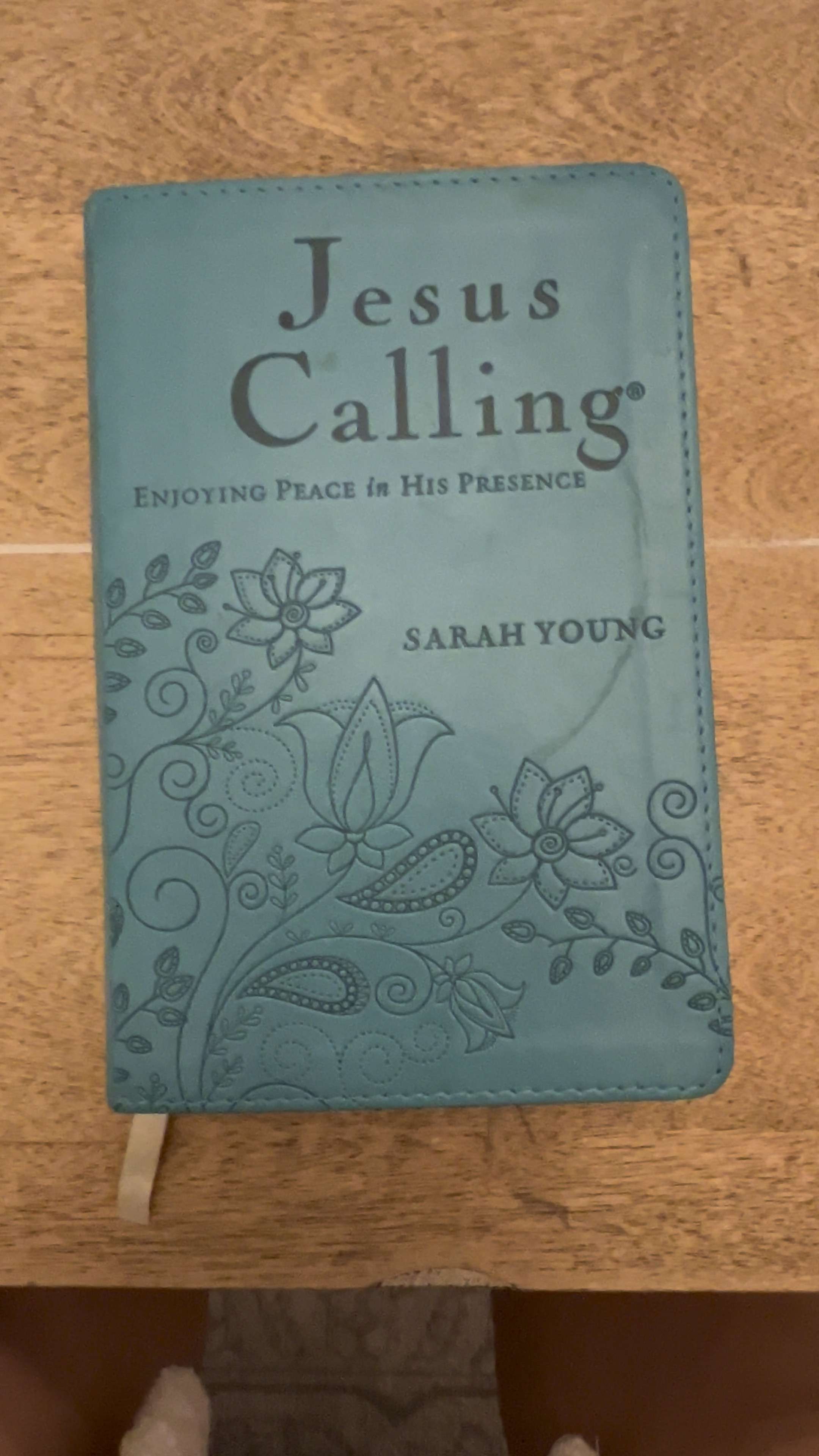 Hands down my favorite devotion ever! It has a devotion for every single day of the year and is in Jesus speaking voice. 

#LTKGiftGuide #LTKSeasonal #LTKHoliday