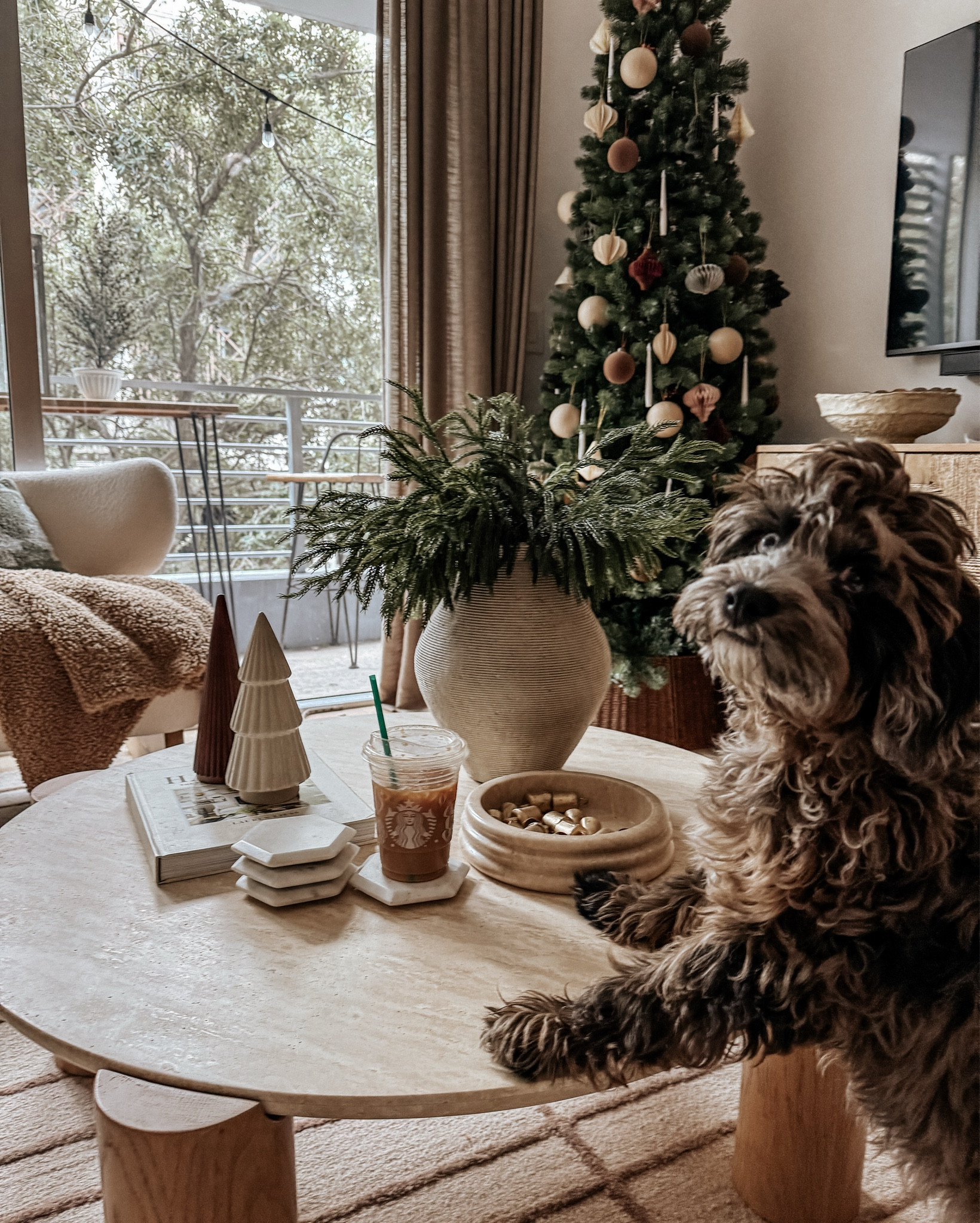 morning coffee moment featuring Clay the Cavapoo

living room decor, holiday decor, Christmas decor, neutral home decor 

#LTKHome #LTKSeasonal #LTKHoliday