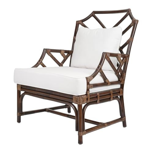 New Pacific Direct Kara 17.5" Rattan and Cotton Accent Arm Chair in Paloma Brown | Amazon (US)