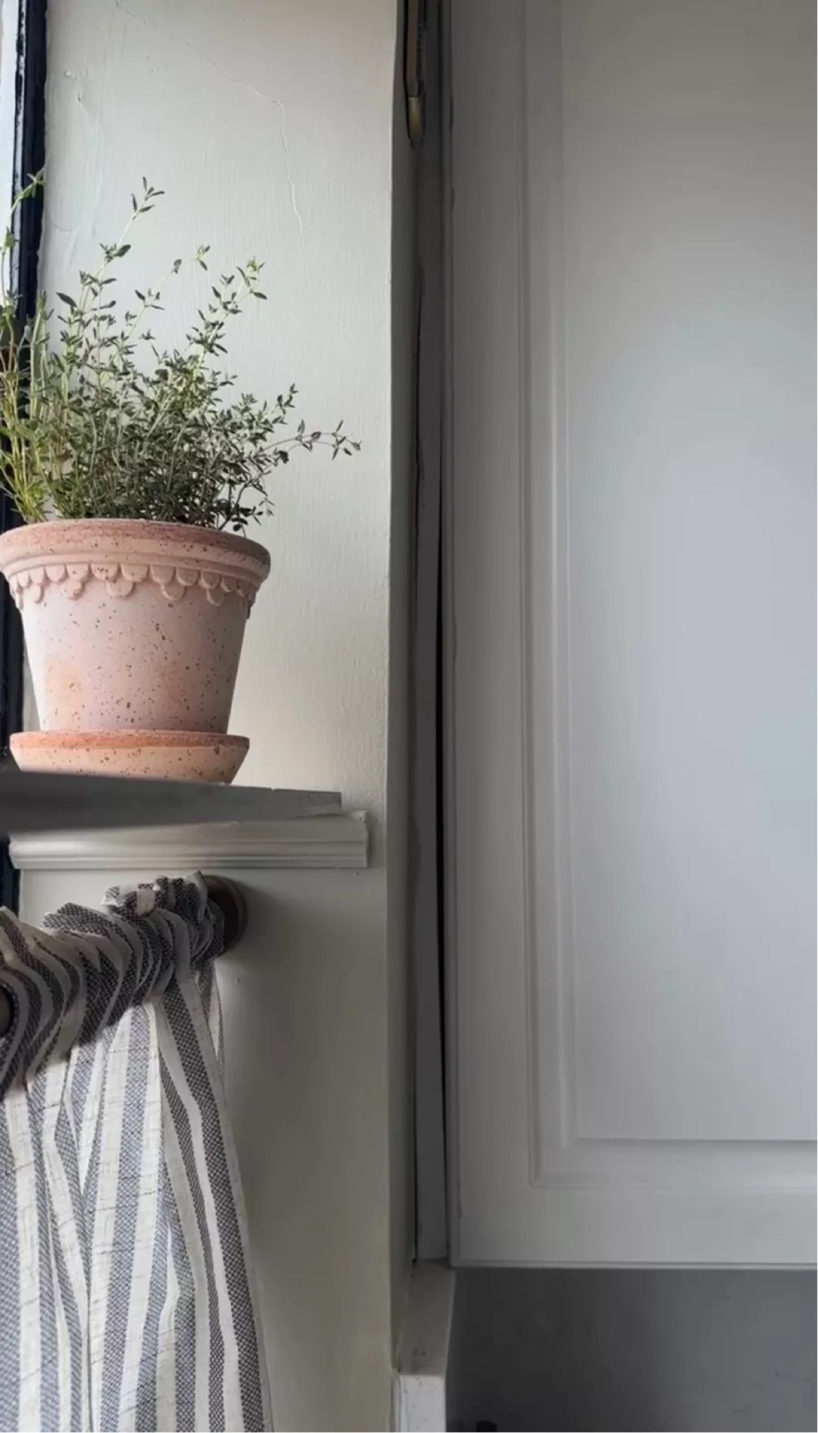 Kitchen details that make a big impact in our tiny space - cafe curtains and herb garden

#LTKhome