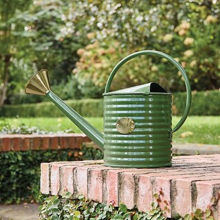 Marigold Watering Can | Ballard Designs, Inc.