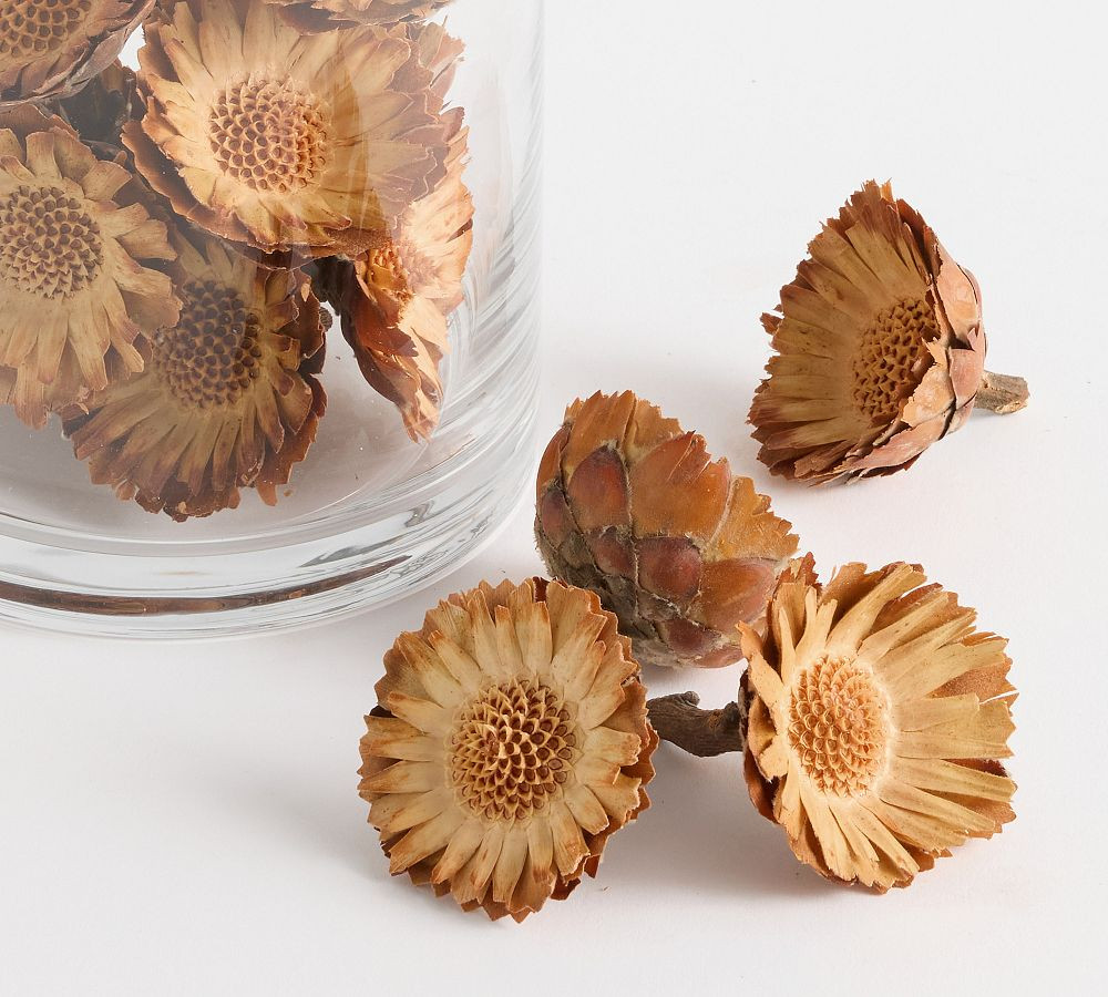 Dried Flower Vase Filler | Pottery Barn (US)