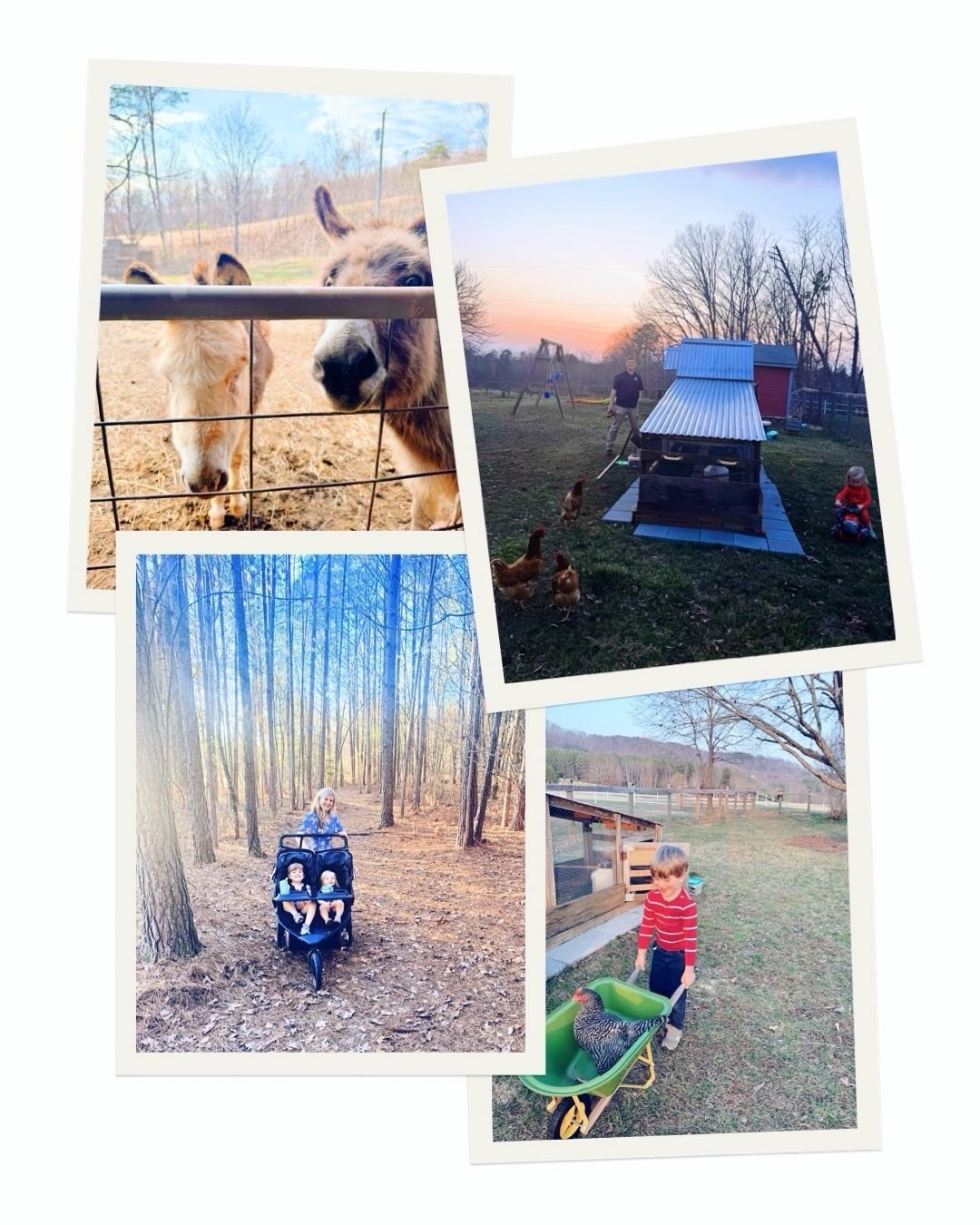 Just a sweet little ☀️🏡🤠☕️🪟🛻🤱🪻 w e e k e n d c a m e r a  r o l l 🐓🧺👶🏼🫏🚜💒✝️🌾 #lifeonthefarm #weekendcameraroll #lifewithmyboys #fullhandsfullerhearts #thisweekend