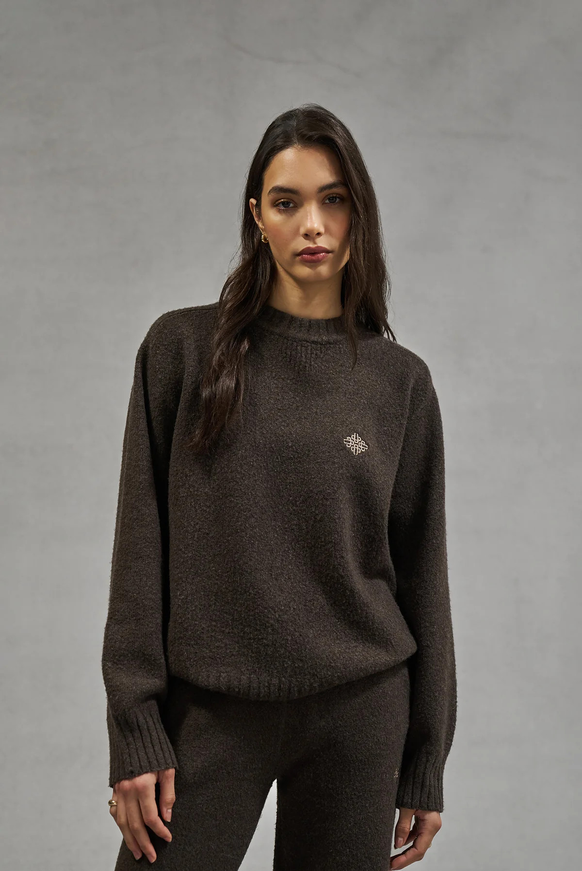 FLUFFY KNIT EMBLEM EMBROIDERED CREW - BROWN | The Couture Club