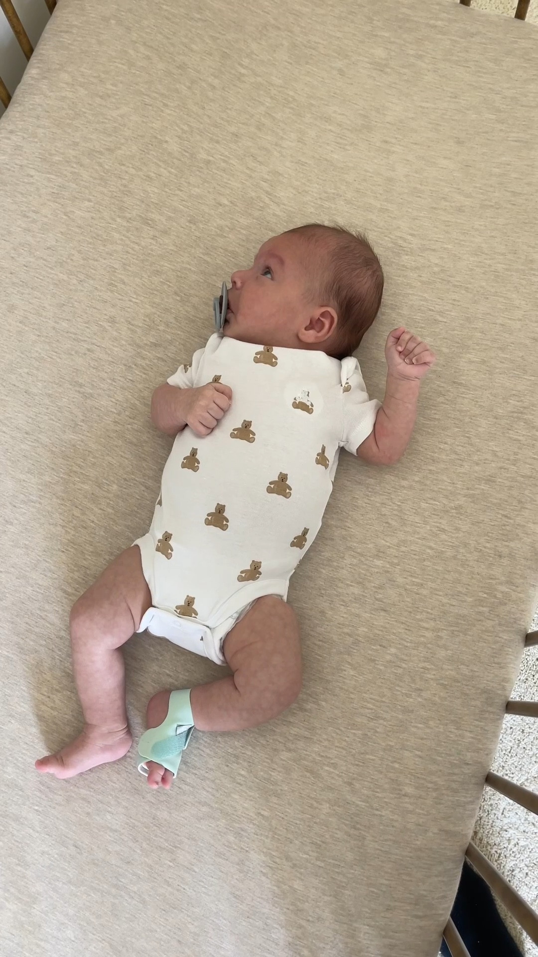 Target Circle Week Deals🎯✨ Owlet devices are on sale for Target Circle members!

baby, newborn essentials, infant essentials, owlet, baby tech, sale, sale alert, sale finds, target, target finds, sleep tracker baby, Grace White 

#LTKSaleAlert #LTKKids #LTKBaby