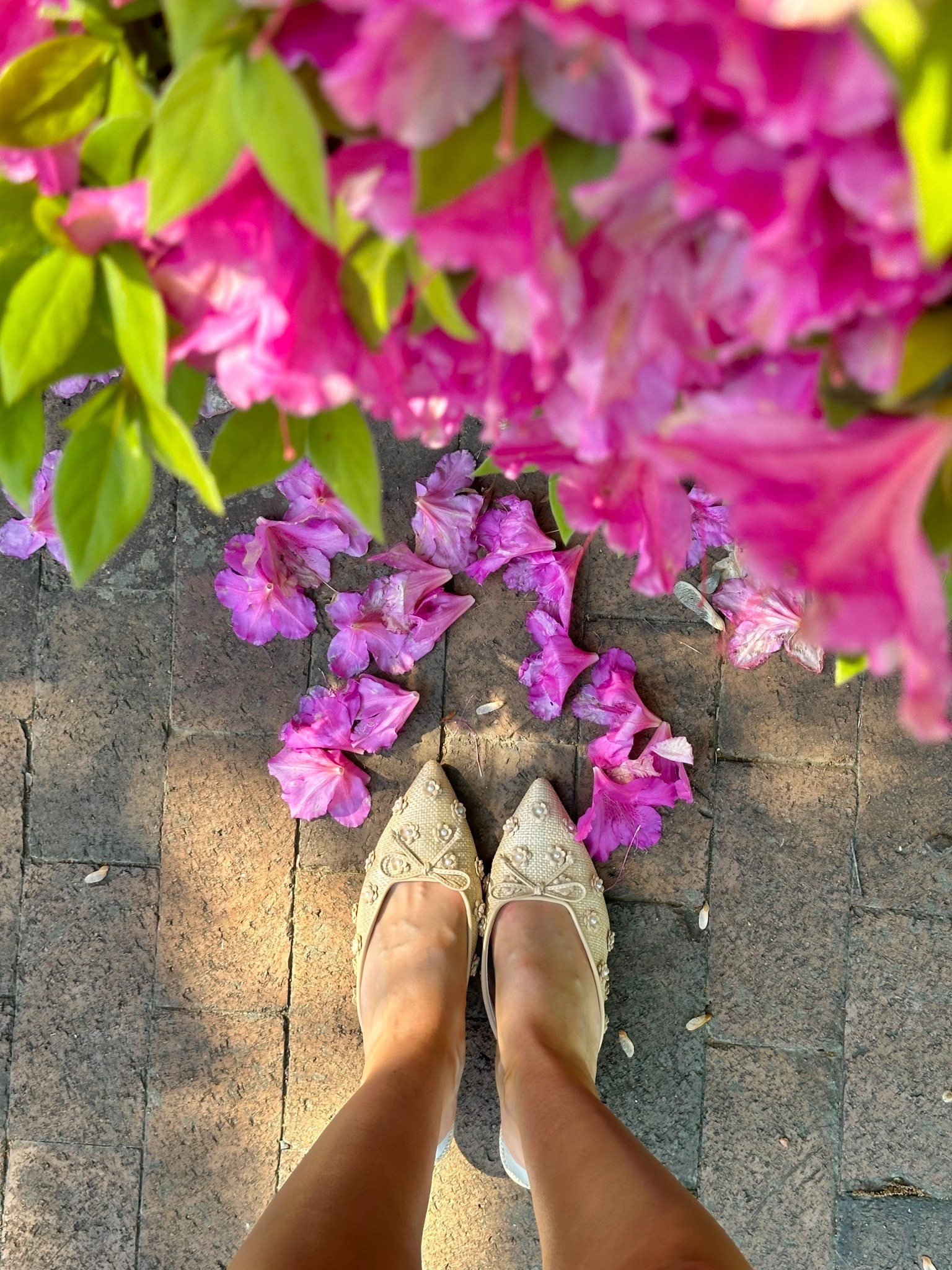 dolce vita flower kitten heels run TTS 

#LTKGiftGuide #LTKWedding #LTKShoeCrush