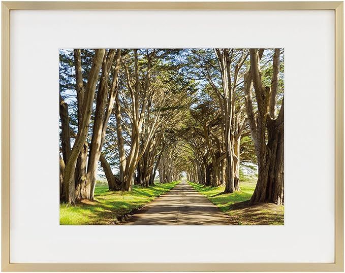 Golden State Art Picture Frame - Gold Aluminum (Shiny Brushed) - Fit Photo with Ivory Mat or With... | Amazon (US)