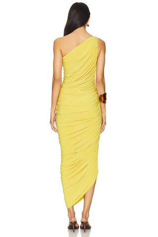 Diana Gown in Asparagus | Revolve Clothing (Global)