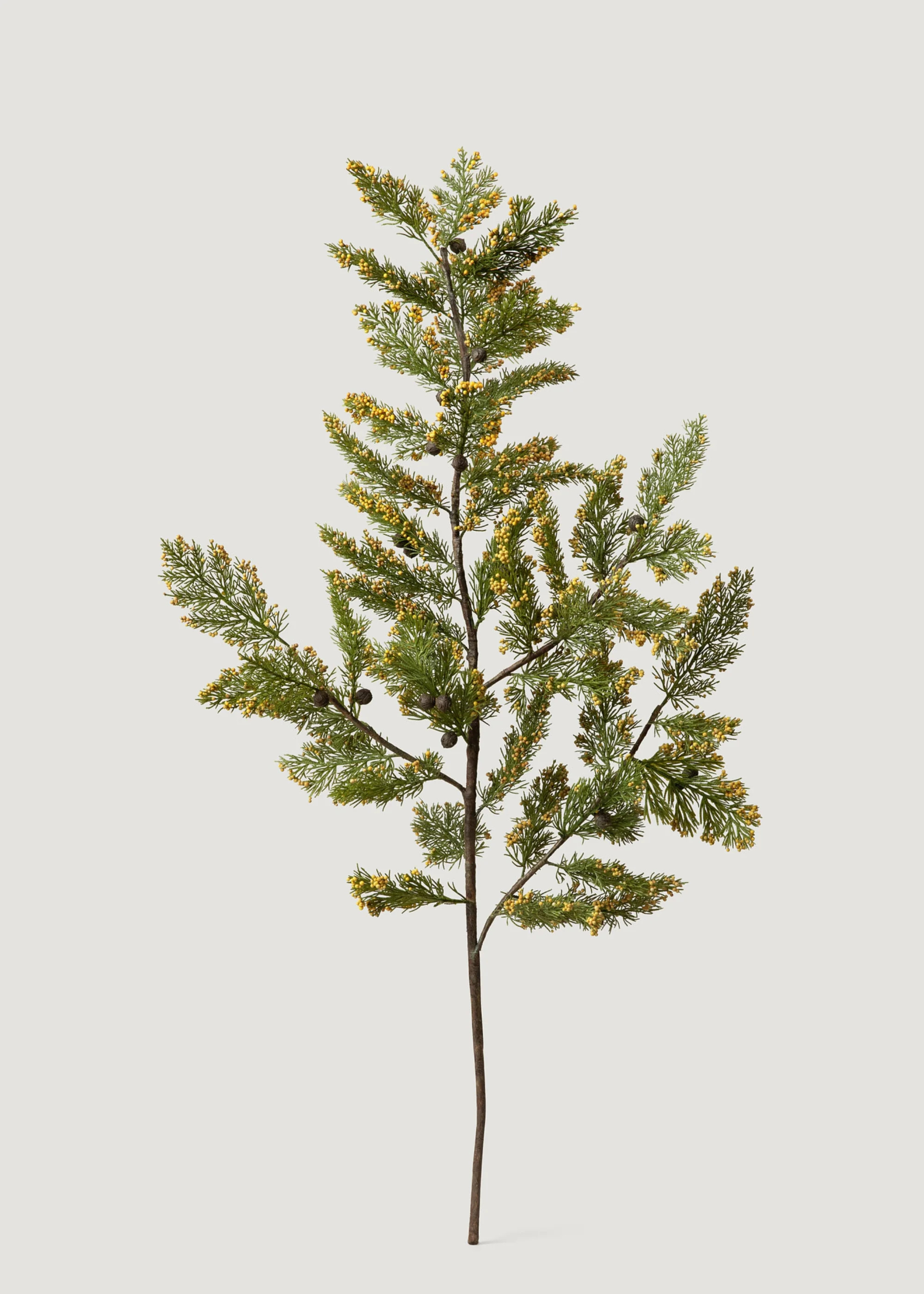 Natural Touch Pine Branch | Artificial Winter Stems | Afloral | Afloral