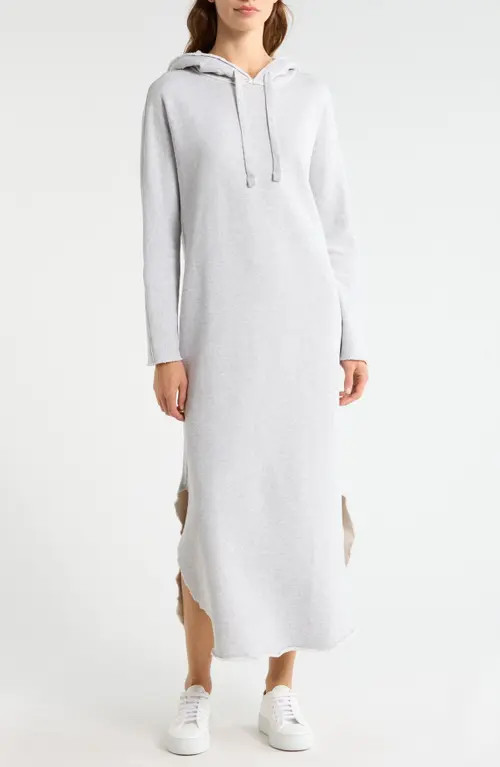 Frank & Eileen James Long Sleeve Hoodie Dress in Gray Melange at Nordstrom, Size X-Small | Nordstrom