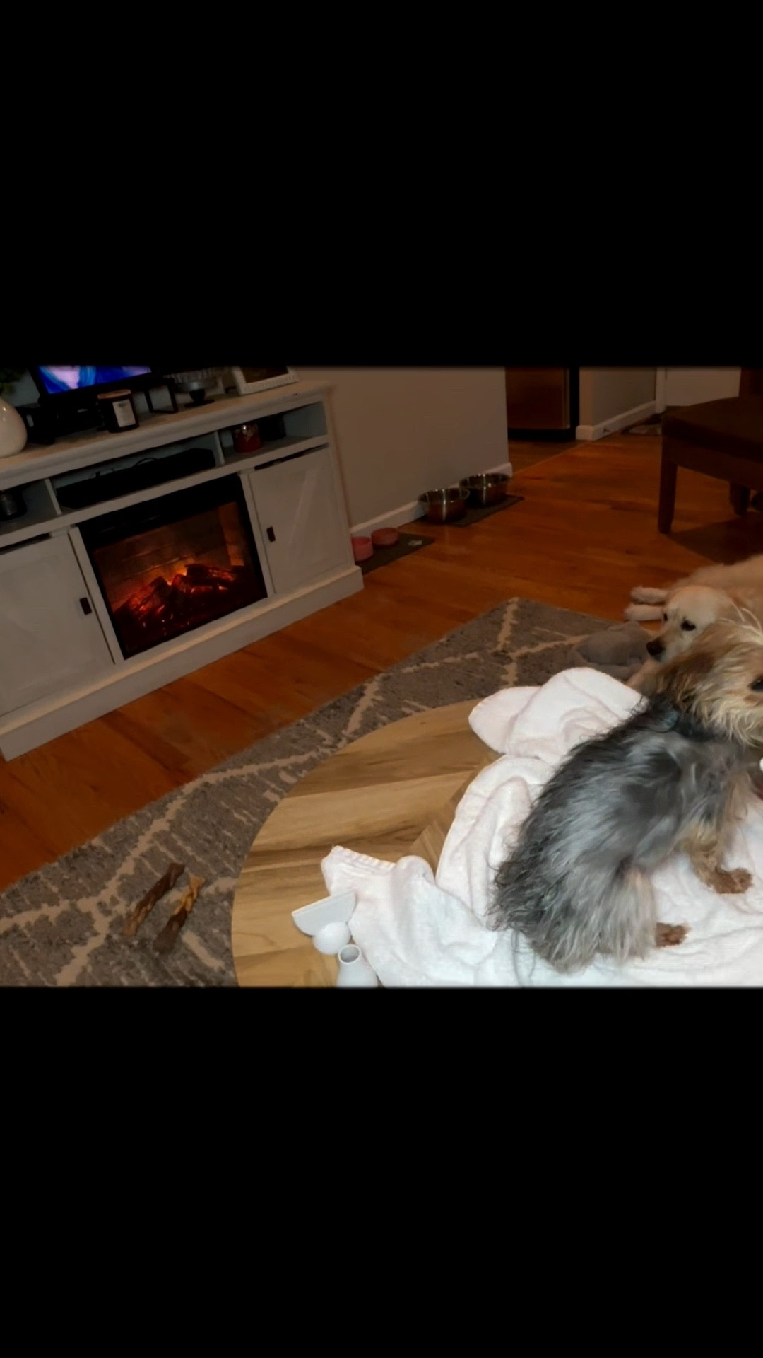 If you groom your dog at home… you need this.

✔️ 3 speeds

✔️ Multiple heat settings

✔️ Comes with attachments

✔️ Actually dries thick coats fast

I wish I would’ve bought it sooner.

It’s linked! 🐶✨


#LTKdayinmylife #LTKvlog #LTKSaleAlert