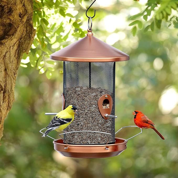 Wild Bird Feeders for Outdoors Hanging - 12.6inch Large Metal with Copper,Bird Lover Birthday Gif... | Amazon (US)