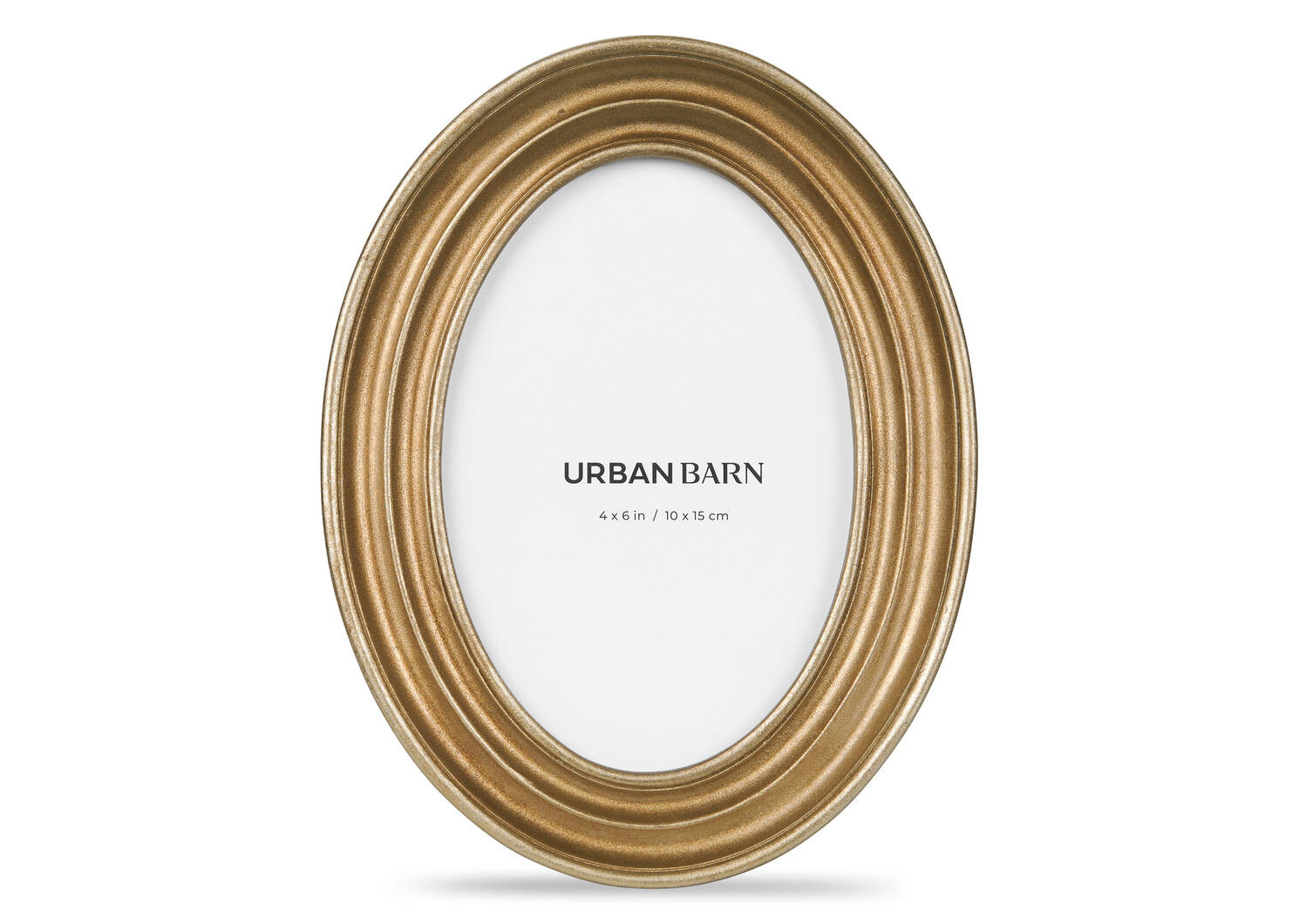 Levine Frame 4x6 Brass | Urban Barn