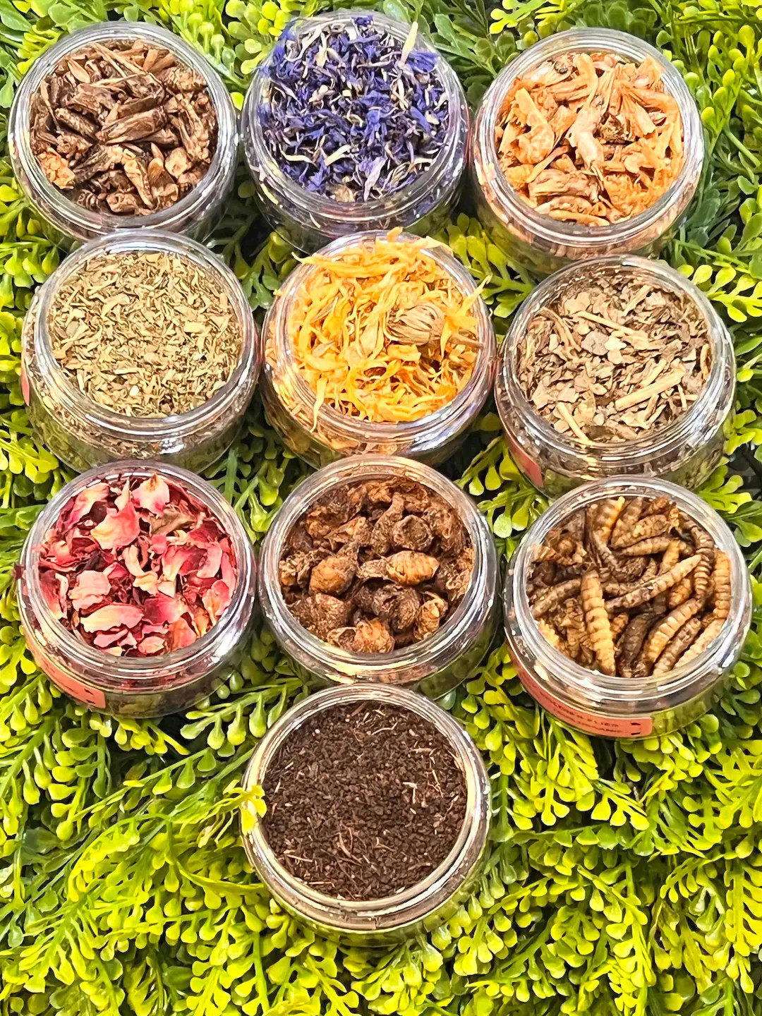 Hermit Crab Foraging Kit, Organic Garden Grown, Vitamin Rich Snacks - Etsy | Etsy (Global)