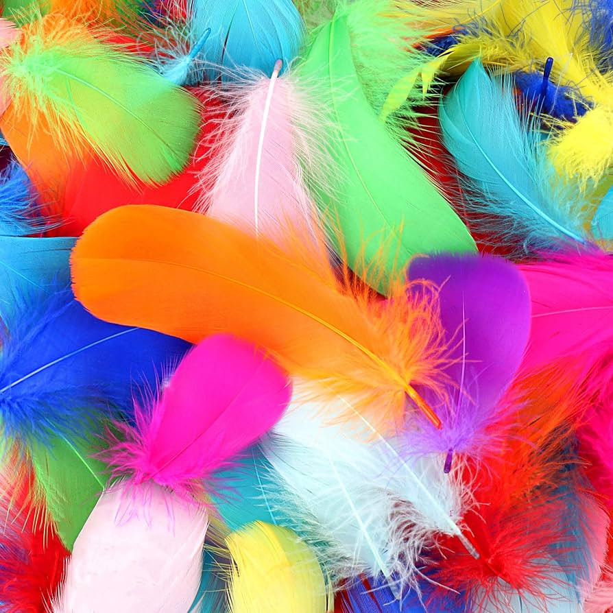 HaiMay 100 Pieces Colorful Feathers for Craft Wedding Home Party Decorations, 3-5 Inches 10 Color... | Amazon (US)