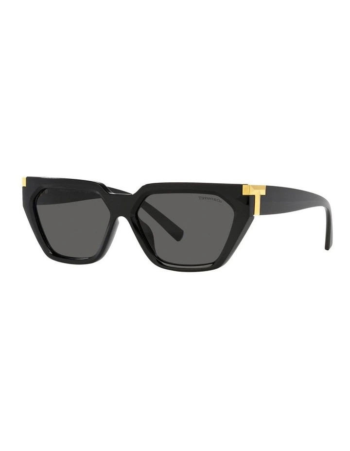 TF4205U Sunglasses in Black | Myer
