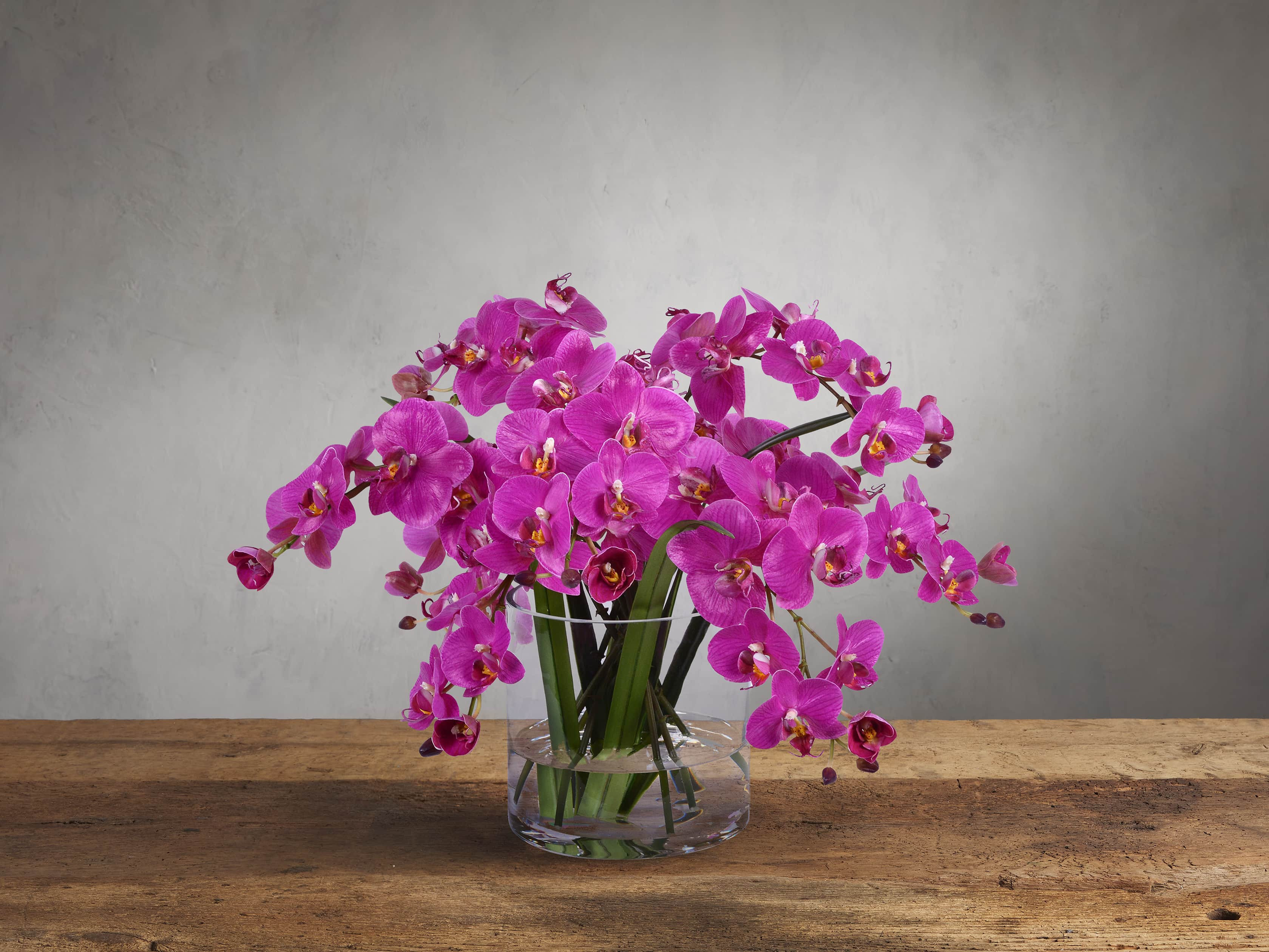 Faux Fuchsia Phalaenopsis in Glass | Arhaus