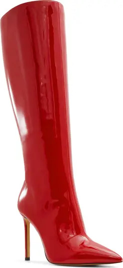 ALDO Agathea Pointed Toe Knee High Boot (Women) | Nordstrom | Nordstrom