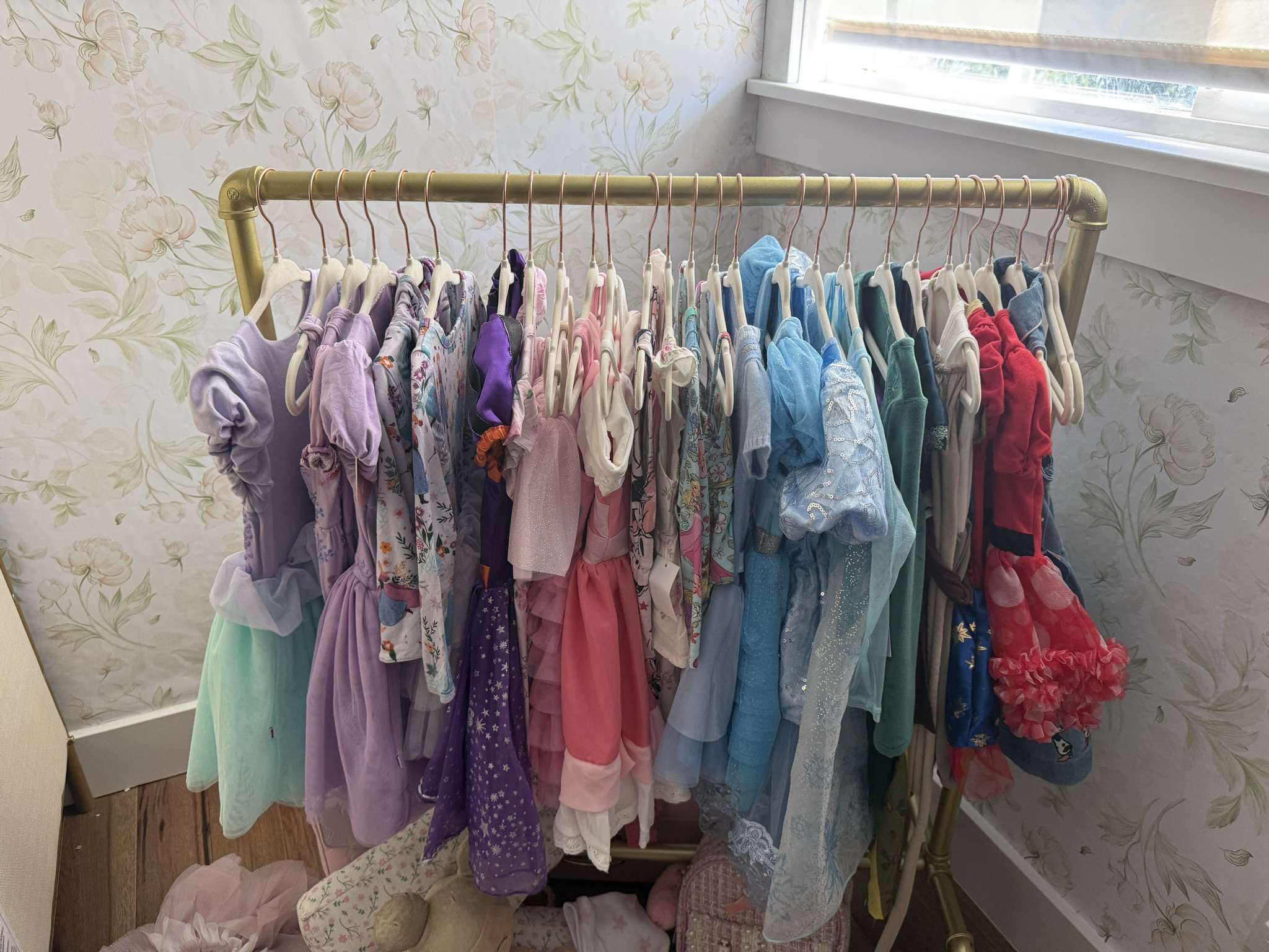 Toddler girl Disney dress up rack 

#LTKBaby #LTKKids #LTKTravel