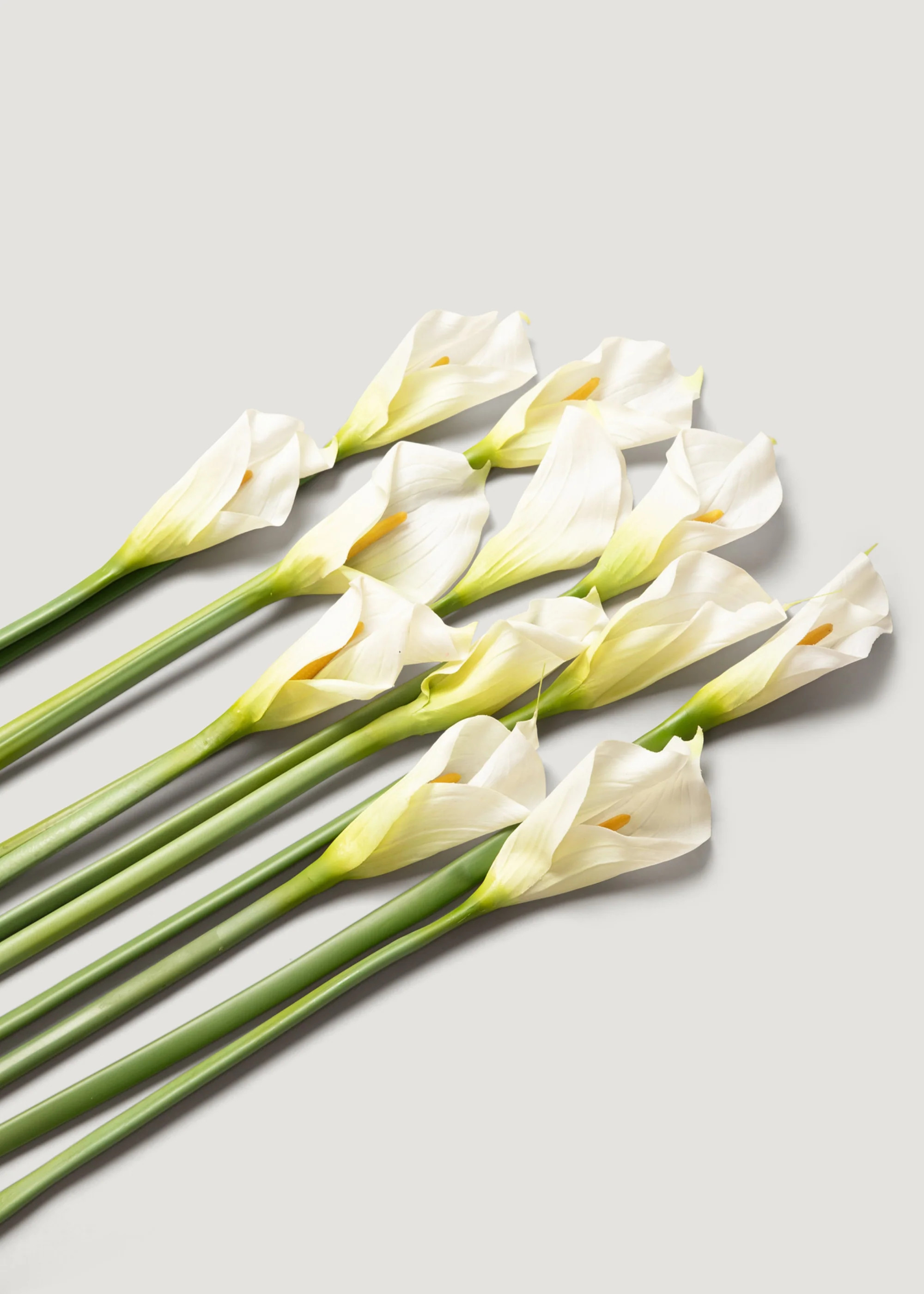Faux Calla Lily Stems in Cream Bundle - 37" | Afloral | Afloral