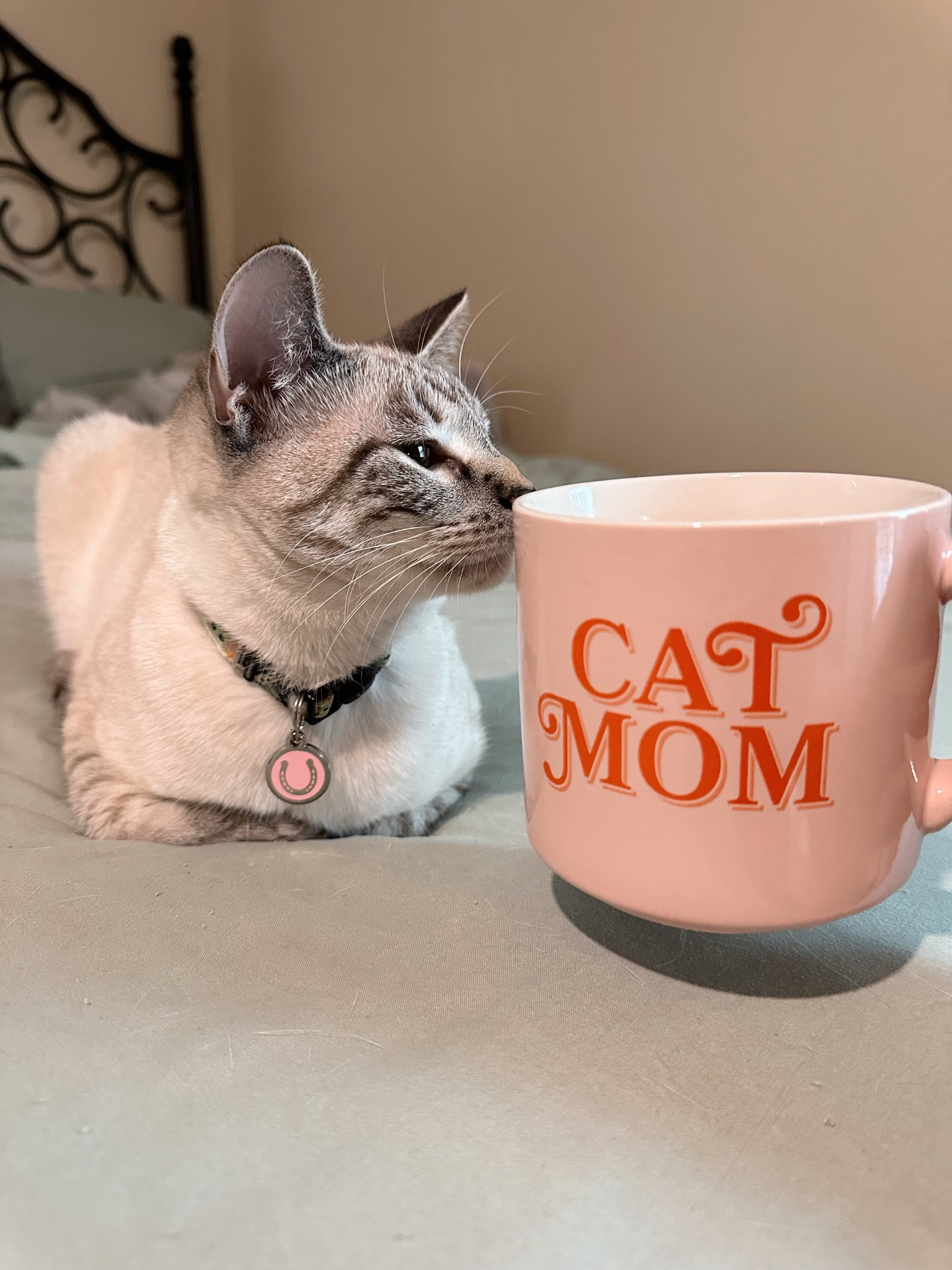 Mugs are always a great gift, especially the ones for fur parents! Target has the best mug selection for both cat & dog parents starting at $5!

#LTKGiftGuide #LTKHoliday #LTKhome