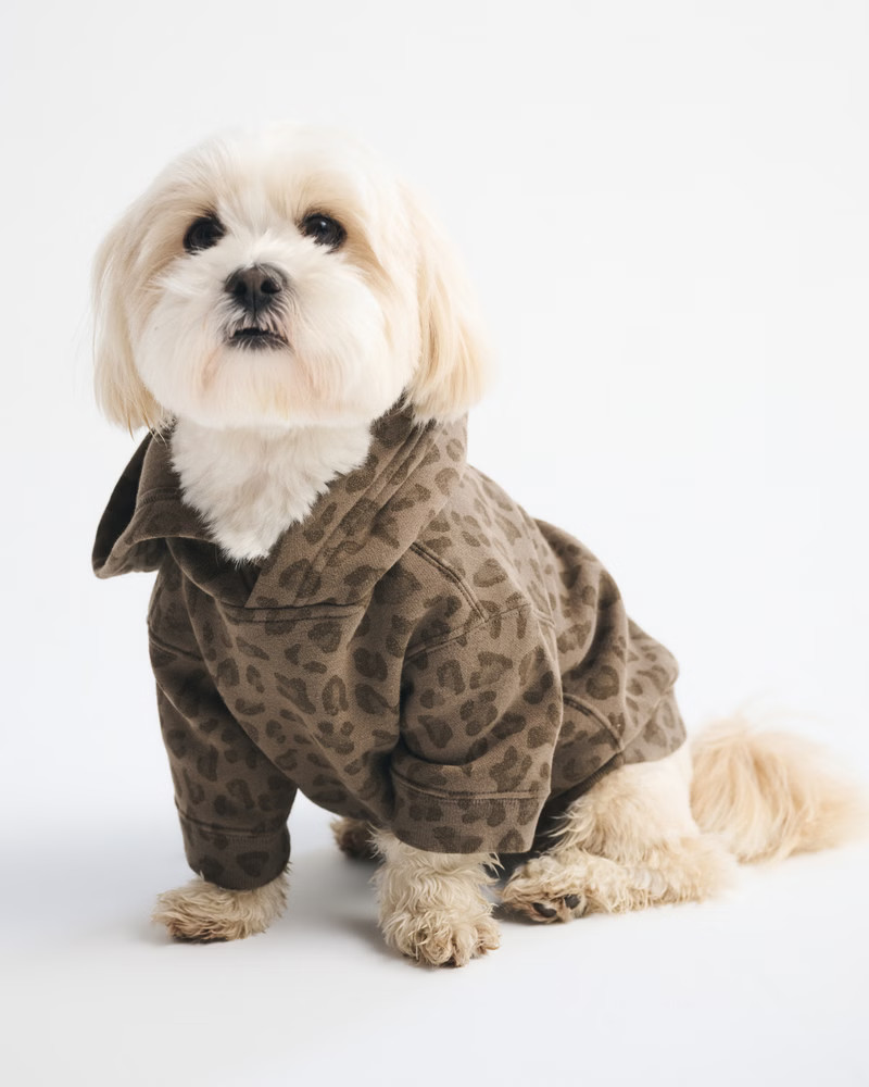 Women's A&F Essential Pet Pupover | Women's | Abercrombie.com | Abercrombie & Fitch (US)