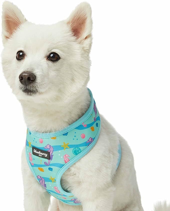 Blueberry Pet Summer Sparkle Dog Harness Vest, Adjustable X-Small Size, Chest Girth 13" - 16", Tu... | Amazon (US)