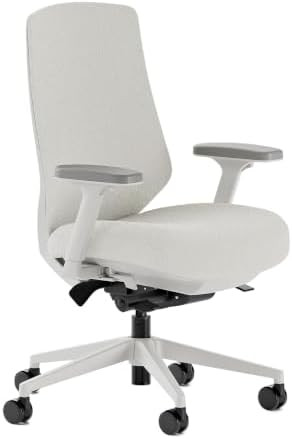 Branch Ergonomic Chair Pro - Mesh Office Chair with 14 Points of Adjustment - Height, Depth & Til... | Amazon (US)