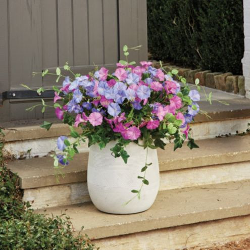 Morning Glory Planter Filler | Ballard Designs, Inc.