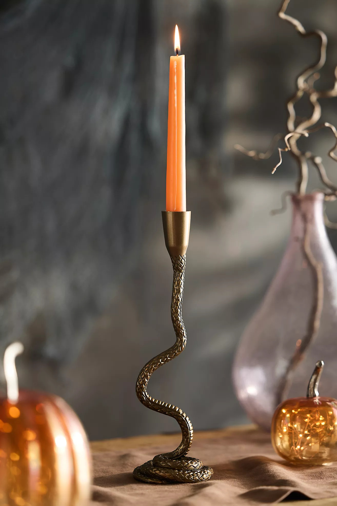 Coiled Snake Taper Holder | Terrain