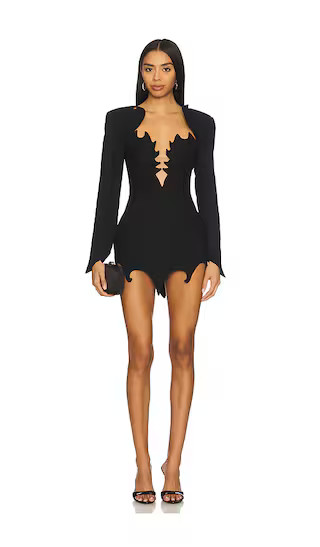 Aurora Mini Dress in Black | Revolve Clothing (Global)