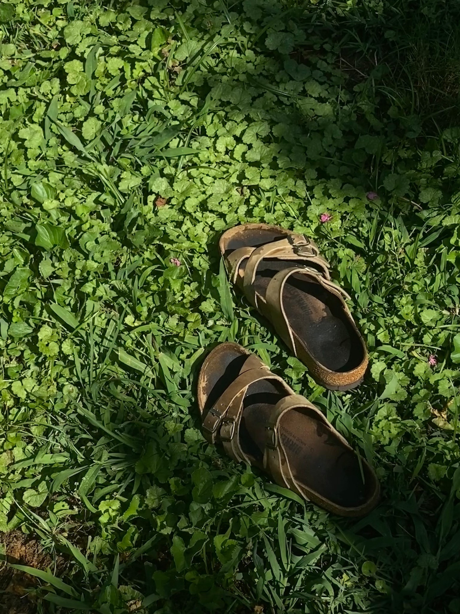 THE summer sandal. Love the cross strap - makes it look a little more elevated than the classic Arizona! 🤍

#LTKSeasonal #LTKShoeCrush