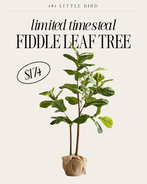 Take advantage of this limited time 5 ft fiddle leaf tree steal from Pottery Barn!