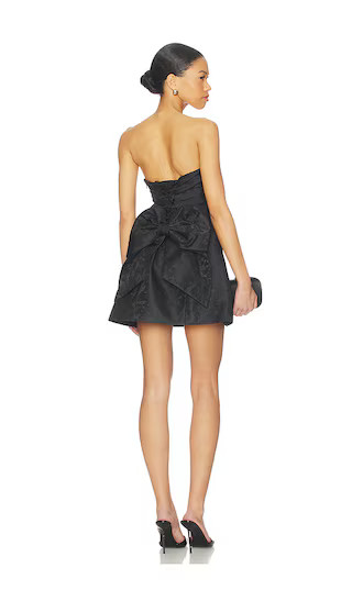 Zelda Mini Dress in Black | Revolve Clothing (Global)