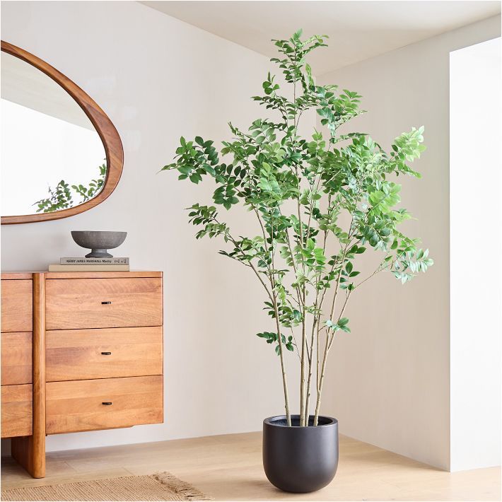 Faux Potted Green Leaf Tree | West Elm (US)
