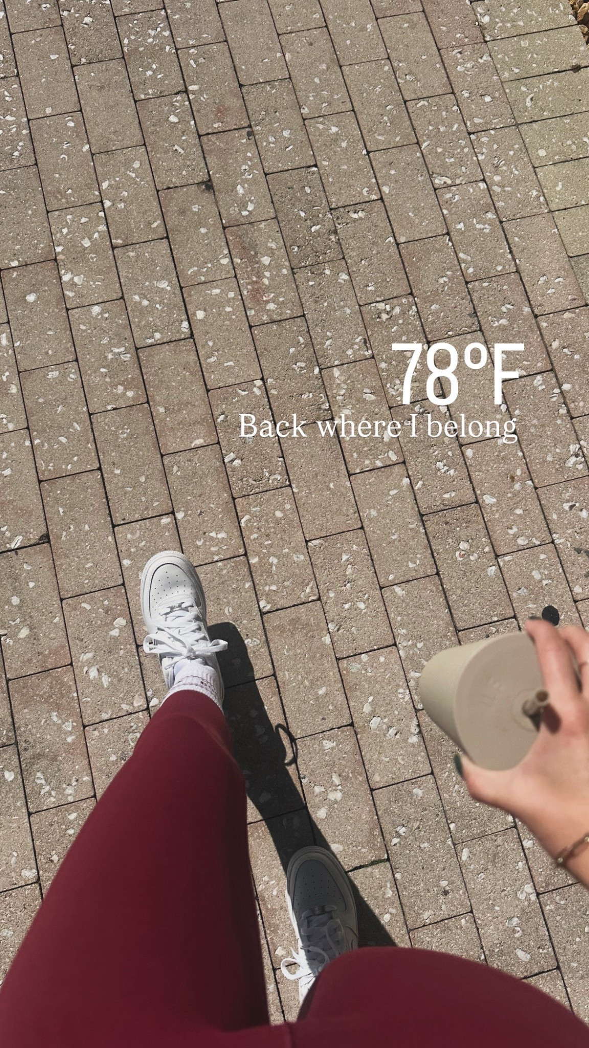 Back on my daily walks in sunny Florida just in time for Christmas! Linking my festive red workout set in a size small 

#LTKActive #LTKPetite #LTKfitnessgoals