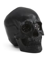 7in Resin Skull | Marshalls