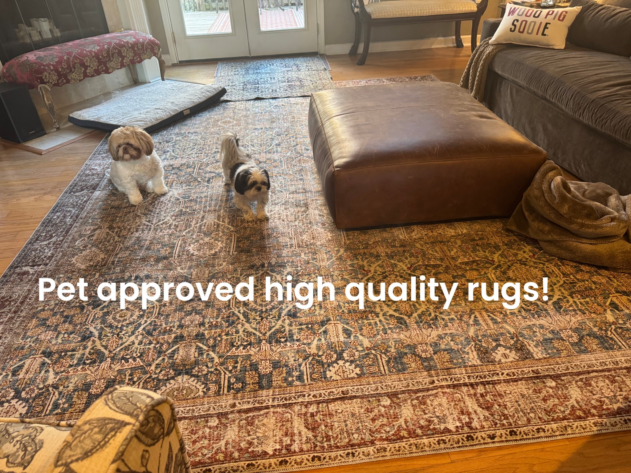 These rugs by Magnolia are truly stunning l!  Pet approved and great quality!   

#LTKHome #LTKmomlife