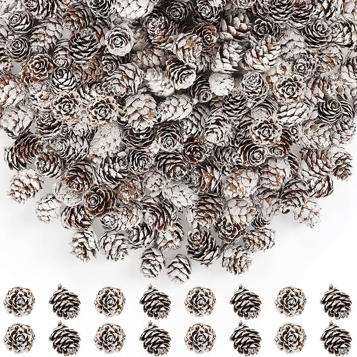 100 Pcs Snow Pine Cones, Mini Pinecones for Craft, Natural Cones Wreath, Christmas Bowl Stuff Win... | Amazon (US)