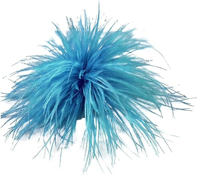 Eforcase Ostrich Feather Brooch Fashion Brooch Pins Corsage Hair Clip Headwear Hairpin Hairband f... | Amazon (US)